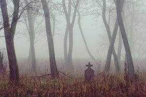 Spooky cemetery in foggy forest